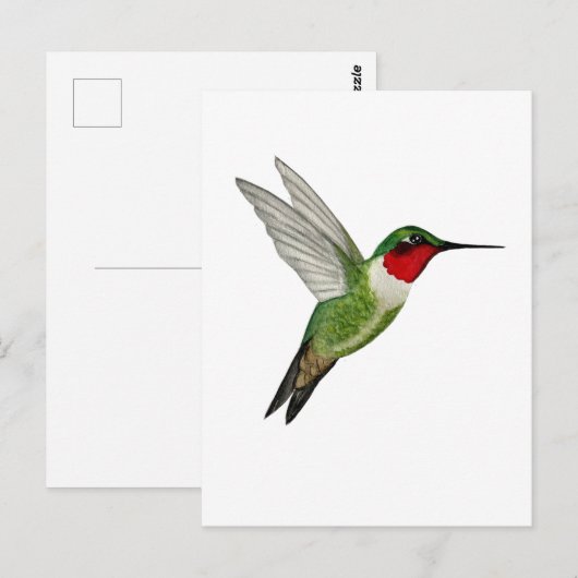 Rubinkehlkolibri Postkarte (Vorne/Hinten)