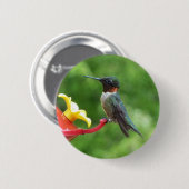 Rubinkehlkolibri-Vogel-Fotografie Button (Vorne & Hinten)