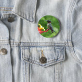 Rubinkehlkolibri-Vogel-Fotografie Button (Beispiel)