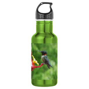 Rubinkehlkolibri-Vogel-Fotografie Edelstahlflasche