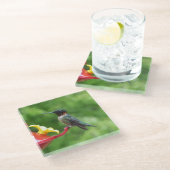 Rubinkehlkolibri-Vogel-Fotografie Glasuntersetzer (Schrägansicht)