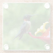 Rubinkehlkolibri-Vogel-Fotografie Glasuntersetzer (Rückseite)