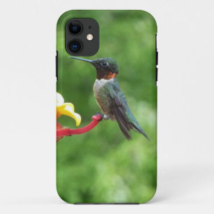 Rubinkehlkolibri-Vogelfotografie iPhone 11 Hülle