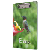 Rubinkehlkolibri-Vogelfotografie Klemmbrett (Links)
