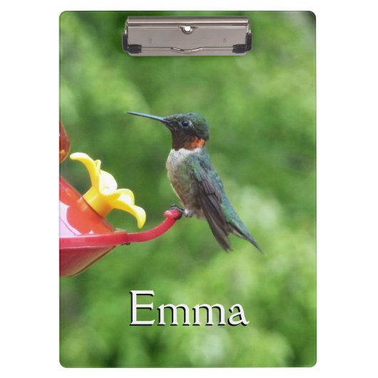 Rubinkehlkolibri-Vogelfotografie Klemmbrett (Vorderseite)