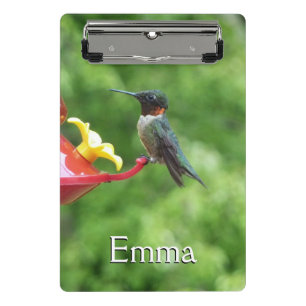 Rubinkehlkolibri-Vogelfotografie Mini Klemmbrett