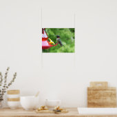 Rubinkehlkolibri-Vogelfotografie Poster (Küche)