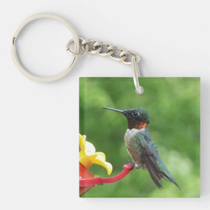 Rubinkehlkolibri-Vogelfotografie Schlüsselanhänger
