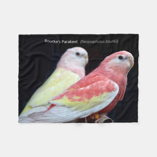 Rubino Bourke Fleecedecke (Vorderseite (Horizontal))