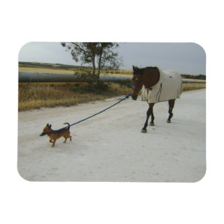 Rubrik für Zuhause Magnet