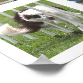 Ruby Agility Poster (Ecke)