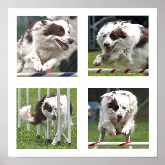 Ruby Agility Poster (Vorne)