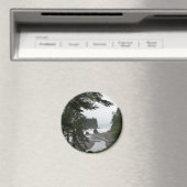 Ruby Beach Coastline Magnet (In Situ (Geschirrspüler))