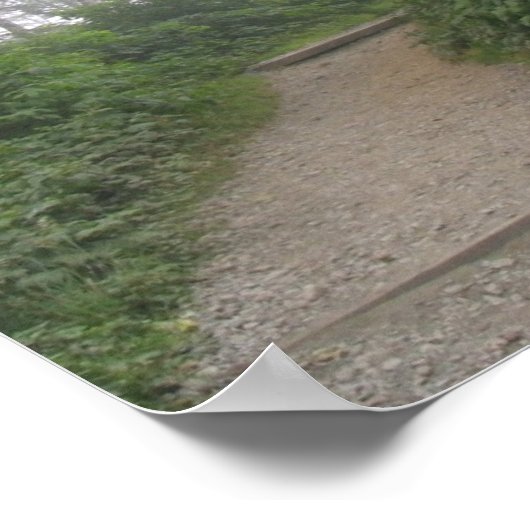 Ruby Beach, Pazifikküste - WA Poster (Ecke)