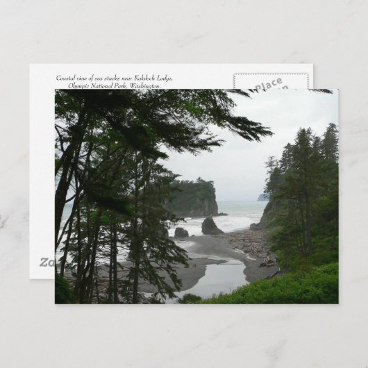 Ruby Beach Postcard Postkarte (Vorne/Hinten)