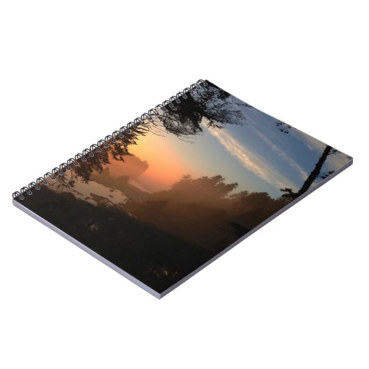 Ruby Beach Through Trees Notizblock (Linke Seite)