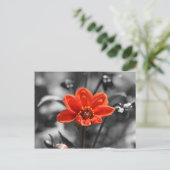 Ruby Blume Postcard Postkarte (Stehend Vorderseite)