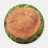 Ruby Bolete Mushroom Magnet (Vorne)