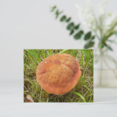 Ruby Bolete Mushroom Postcard Postkarte (Stehend Vorderseite)