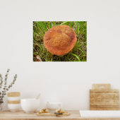 Ruby Bolete Mushroom Poster (Küche)