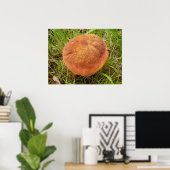 Ruby Bolete Mushroom Poster (Heimbüro)