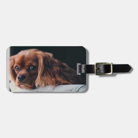 Ruby Cavalier King Charles Spaniel Dog Gepäckanhänger (Vorderseite horizontal)