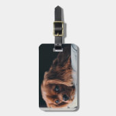 Ruby Cavalier King Charles Spaniel Dog Gepäckanhänger (Vorderseite vertikal)