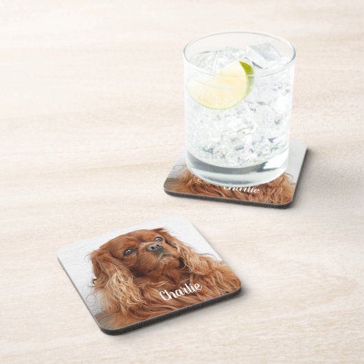 Ruby Cavalier King Charles Spaniel Dog Getränkeuntersetzer (Rechte Seite)