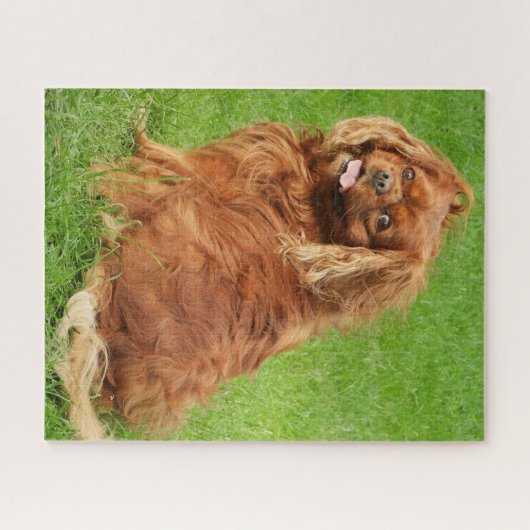 Ruby Cavalier King Charles Spaniel Dog Jigsaw Puzz Puzzle (Horizontal)