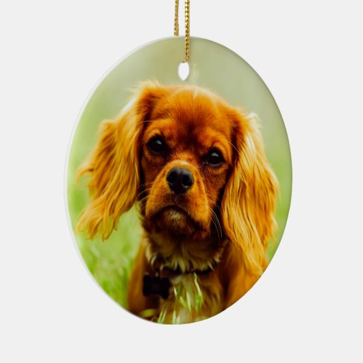 Ruby Cavalier King Charles Spaniel Dog Keramik Ornament (Rechts)