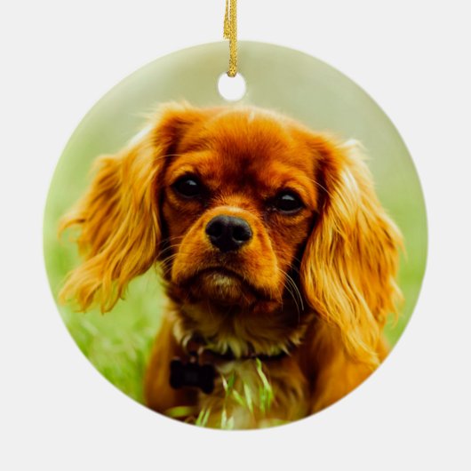 Ruby Cavalier King Charles Spaniel Dog Keramik Ornament (Hinten)