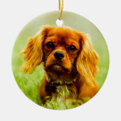 Ruby Cavalier King Charles Spaniel Dog Keramik Ornament (Vorne)
