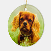 Ruby Cavalier King Charles Spaniel Dog Keramik Ornament (Links)