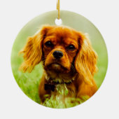 Ruby Cavalier King Charles Spaniel Dog Keramik Ornament (Hinten)