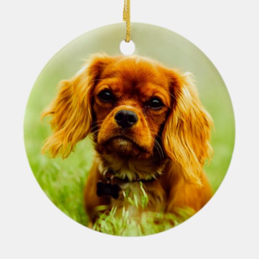 Ruby Cavalier King Charles Spaniel Dog Keramik Ornament (Hinten)