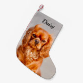 Ruby Cavalier King Charles Spaniel Dog Kleiner Weihnachtsstrumpf (Vorderansicht (hängend))