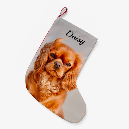 Ruby Cavalier King Charles Spaniel Dog Kleiner Weihnachtsstrumpf (Vorderansicht (hängend))