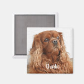 Ruby Cavalier King Charles Spaniel Dog Magnet (Vorderseite/Rückseite)