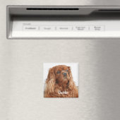 Ruby Cavalier King Charles Spaniel Dog Magnet (In Situ (Geschirrspüler))