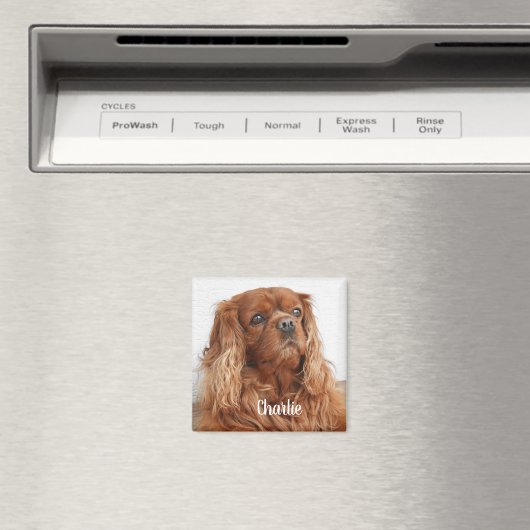 Ruby Cavalier King Charles Spaniel Dog Magnet (In Situ (Geschirrspüler))