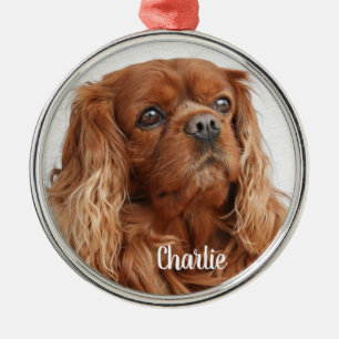 Ruby Cavalier King Charles Spaniel Dog Metal Ornam Ornament Aus Metall