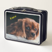 Ruby Cavalier King Charles Spaniel Dog Metall Brotdose (Vorderseite)