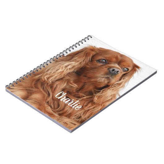 Ruby Cavalier King Charles Spaniel Dog Notizblock (Linke Seite)