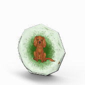 Ruby Cavalier King Charles Spaniel Dog On Green Fotoblock (Rechts)