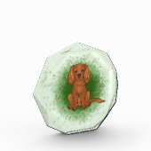 Ruby Cavalier King Charles Spaniel Dog On Green Fotoblock (Links)