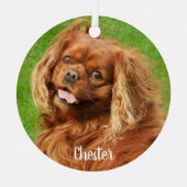 Ruby Cavalier King Charles Spaniel Dog Ornament Aus Metall (Vorderseite)