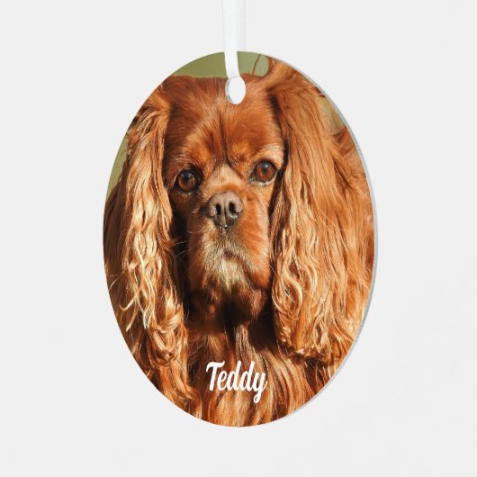 Ruby Cavalier King Charles Spaniel Dog Ornament Aus Metall (Vorderseite links)