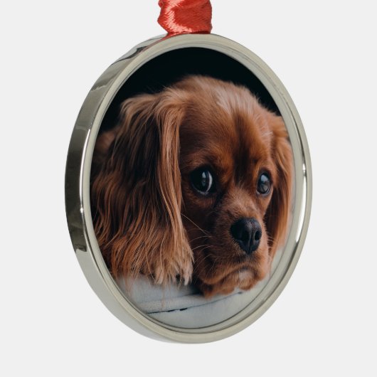 Ruby Cavalier King Charles Spaniel Dog Ornament Aus Metall (Rechts)