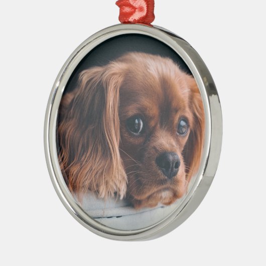 Ruby Cavalier King Charles Spaniel Dog Ornament Aus Metall (Links)