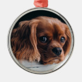 Ruby Cavalier King Charles Spaniel Dog Ornament Aus Metall (Vorne)
